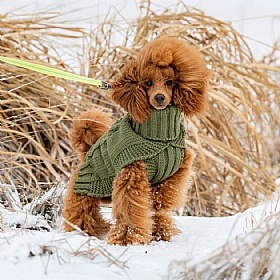 Luxury dog jumpers outlet
