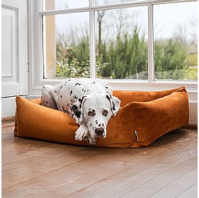 Ruff and Tumble Velvet Burnham Bolster Dog Bed