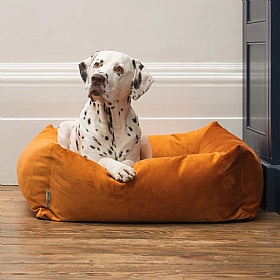 Ruff and Tumble Velvet Burnham Bolster Dog Bed