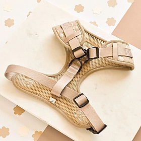 Cocopup Luxe Dog Harness