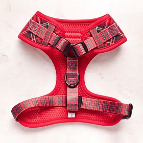 Cocopup Red Tartan Dog Harness