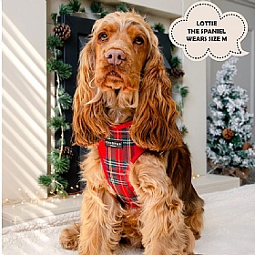 Cocopup Red Tartan Dog Harness