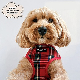 Cocopup Red Tartan Dog Harness