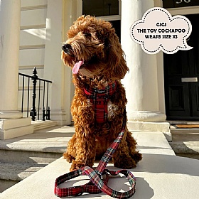 Cocopup Red Tartan Dog Harness