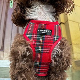 Cocopup Red Tartan Dog Harness