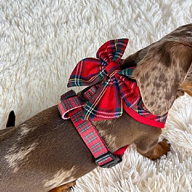Cocopup Red Tartan Dog Harness