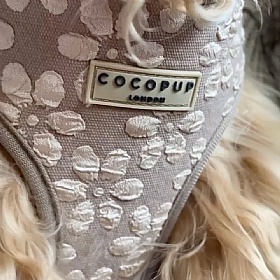 Cocopup Luxe Dog Harness