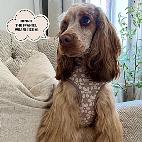Cocopup Luxe Dog Harness