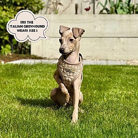 Cocopup Luxe Dog Harness