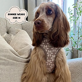 Cocopup Luxe Dog Harness
