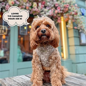 Cocopup Luxe Dog Harness
