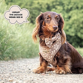 Cocopup Luxe Dog Harness