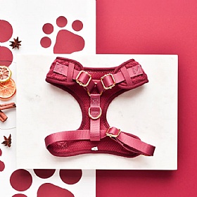 Cocopup Cable Knit Jumper Dog Harness