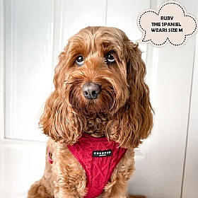 Cocopup Cable Knit Jumper Dog Harness