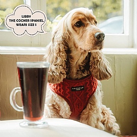 Cocopup Cable Knit Jumper Dog Harness
