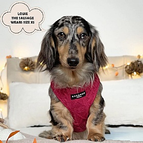 Cocopup Cable Knit Jumper Dog Harness