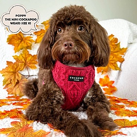 Cocopup Cable Knit Jumper Dog Harness