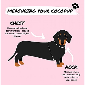 Cocopup Harness Size Guide