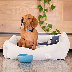 FuzzYard Life Non-Slip Silicone Dog Bowls French Blue