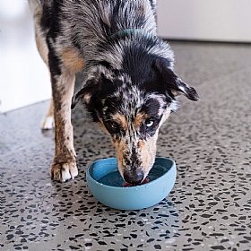 FuzzYard Life Non-Slip Silicone Dog Bowls French Blue