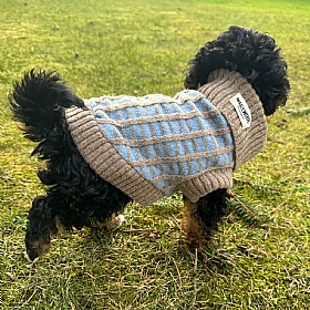 Wag & Wool Light Blue Dog Jumper