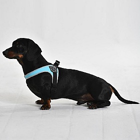 Treponti Easy Fit Classic Dog Harness with Adjustable Girth Light Blue
