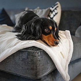 Essentials Twill Dog and Puppy Blankets