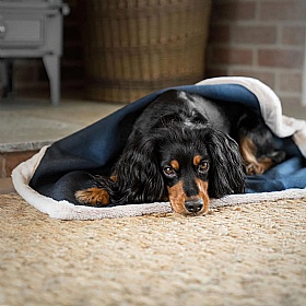 Essentials Twill Dog and Puppy Blankets