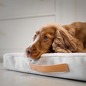 Essentials Twill Orthopaedic Mattress for Dogs