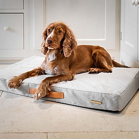 Essentials Twill Orthopaedic Mattress for Dogs