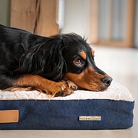 Essentials Twill Orthopaedic Mattress for Dogs