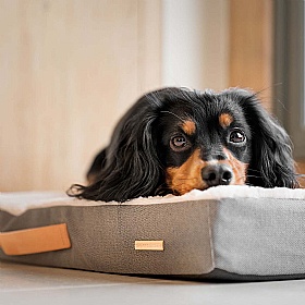 Essentials Twill Orthopaedic Mattress for Dogs