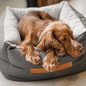 Essentials Twill Box Dog Beds
