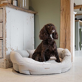 Essentials Twill Oval Dog Beds
