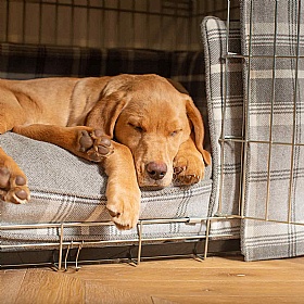 Balmoral Tweed Dog Crate Set in Dove Grey