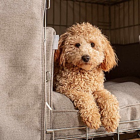Inchmurrin Dog Crate Set Ground