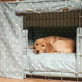 Spotted Dog Crate Set Duck Egg Spot
