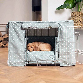 Spotted Dog Crate Set Duck Egg Spot