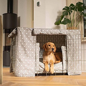 Spotted Dog Crate Set Grey Spot