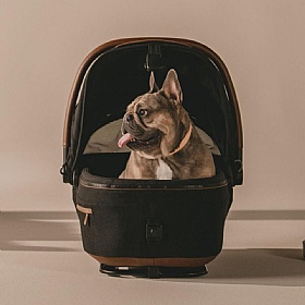 Tavo Maeve Medium Breed Dog Car Seat Carrier