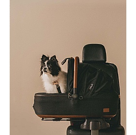 Tavo Maeve Medium Breed Dog Car Seat Carrier