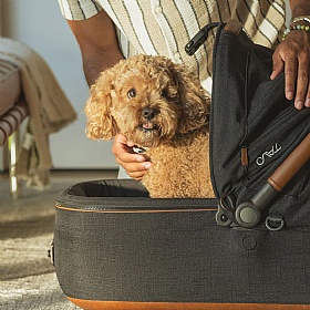 Tavo Maeve Medium Breed Dog Car Seat Carrier