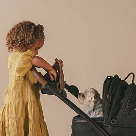 Maeve Small Breed Dog Pram