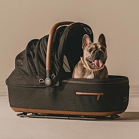 Tavo Maeve Medium Breed Dog Pram 3-in-1 Travel System