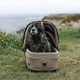 Tavo Maeve Medium Breed Dog Pram 3-in-1 Travel System
