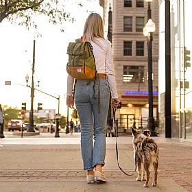 K9 Urban 3 Dog Backpack Carrier