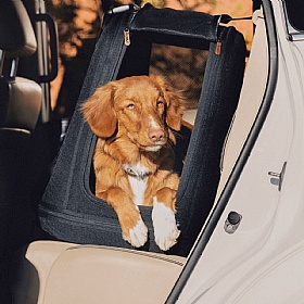 Tavo Crispin Travel Dog Crate Car Seat and Carrier