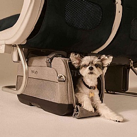 Tavo Dupree Airline Carry-On Dog Car Seat and Carrier