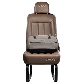 Tavo Dupree Airline Carry-On Dog Car Seat and Carrier