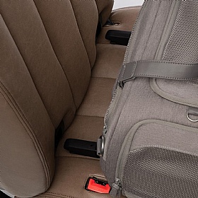 Tavo Dupree Airline Carry-On Dog Car Seat and Carrier